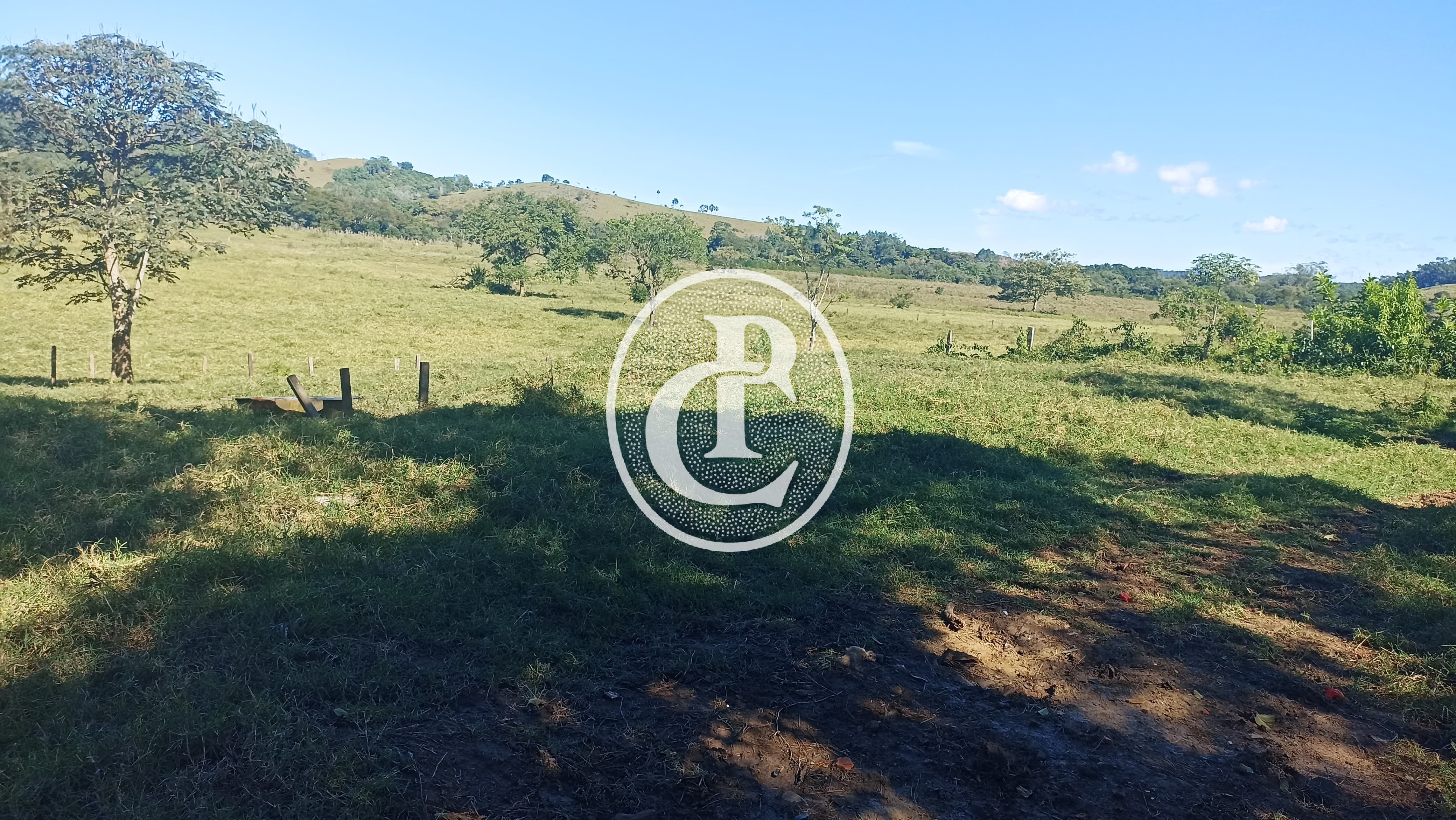 Fazenda, 247 hectares - Foto 19
