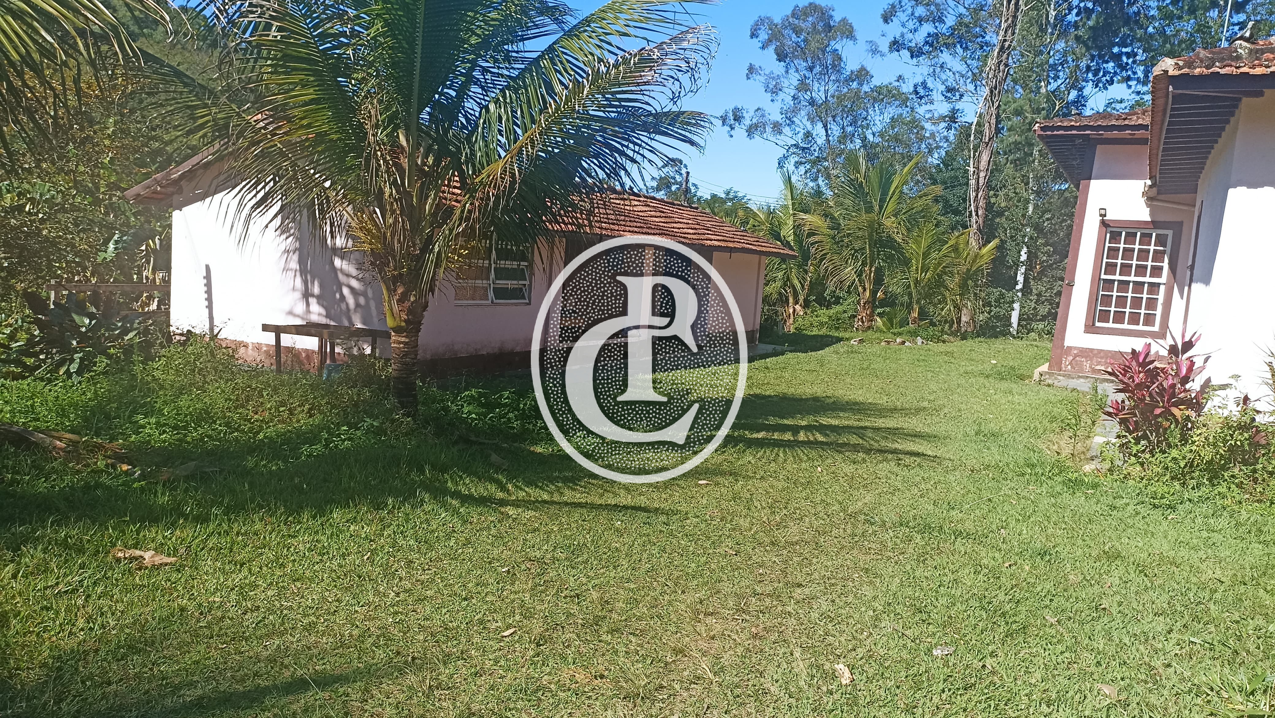 Fazenda, 247 hectares - Foto 20