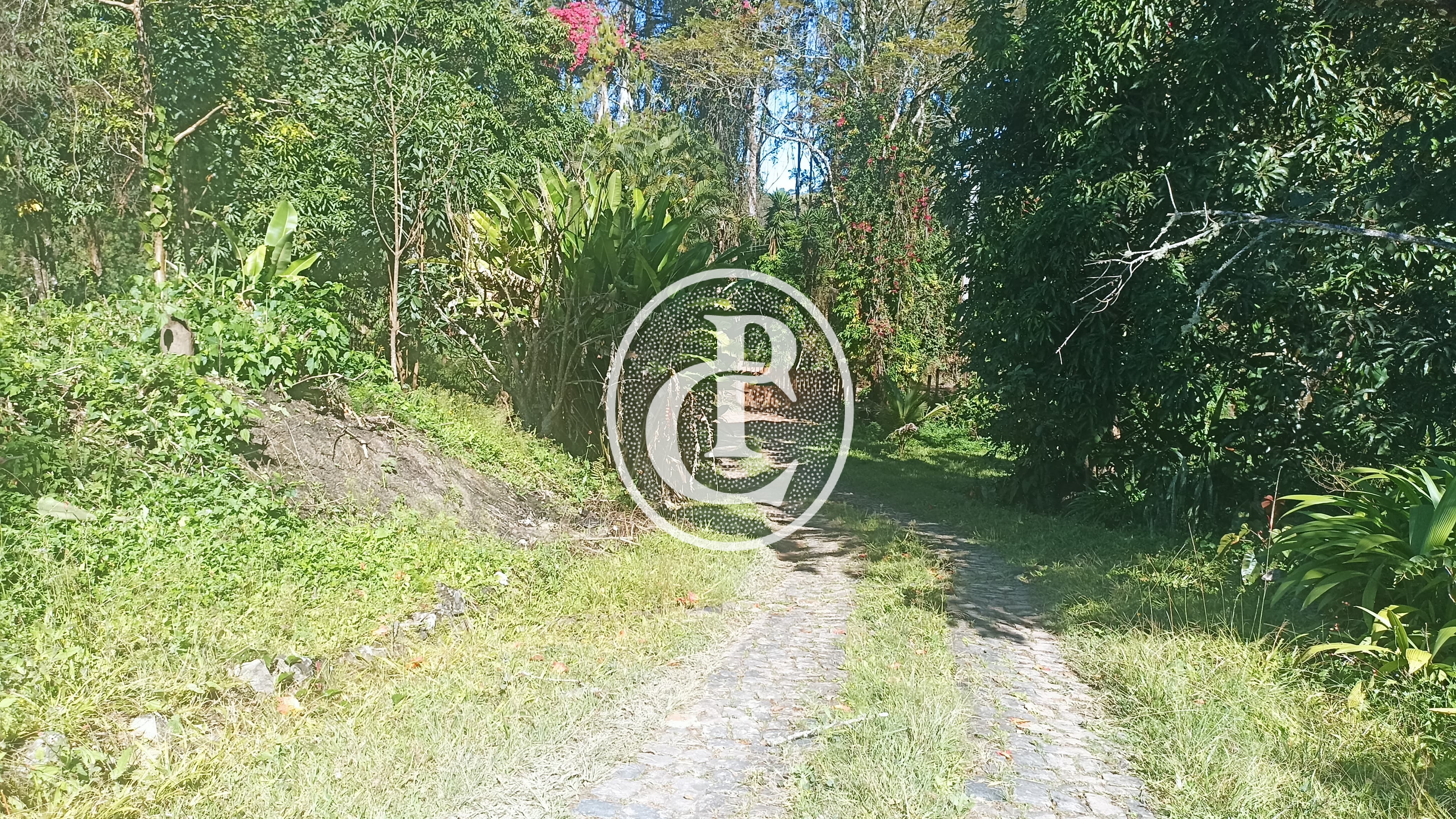 Fazenda, 247 hectares - Foto 24