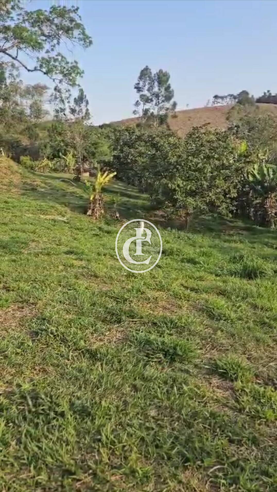 Chácara, 4 quartos, 3800 m² - Foto 5