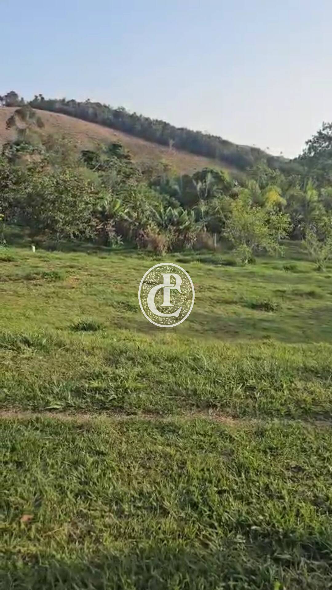 Chácara, 4 quartos, 3800 m² - Foto 7
