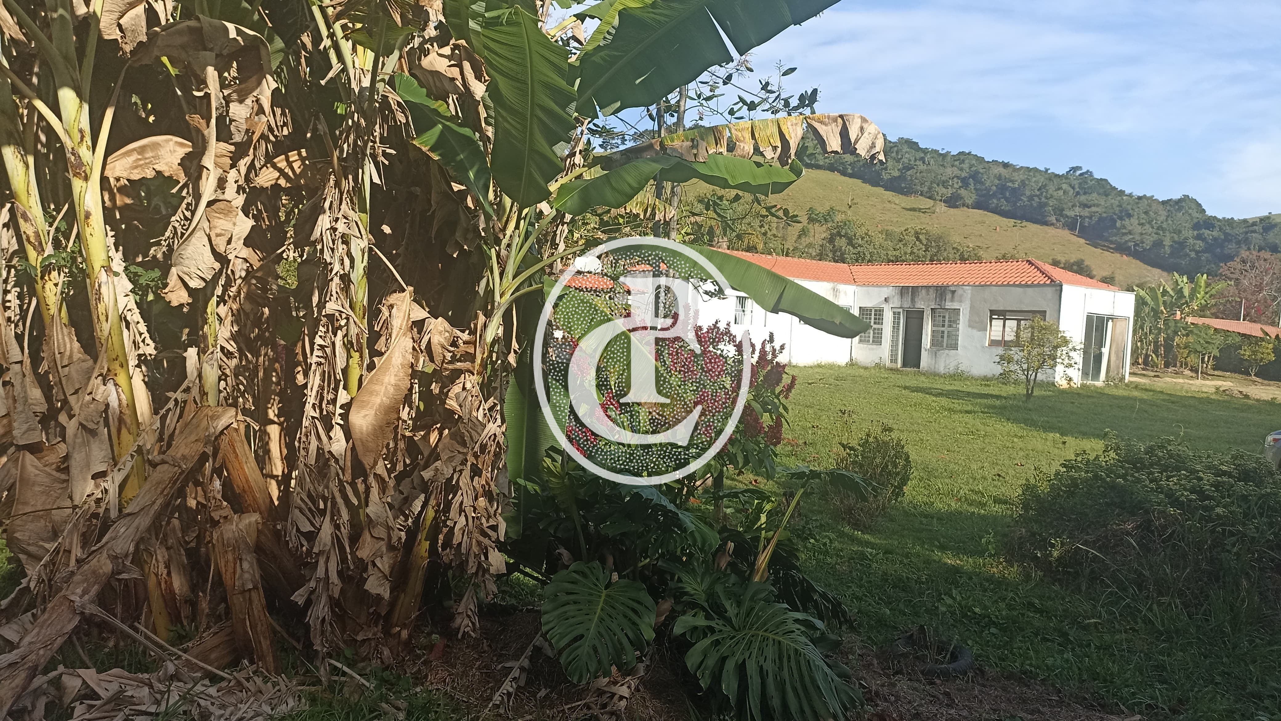 Sítio, 3 quartos, 1600 m² - Foto 1