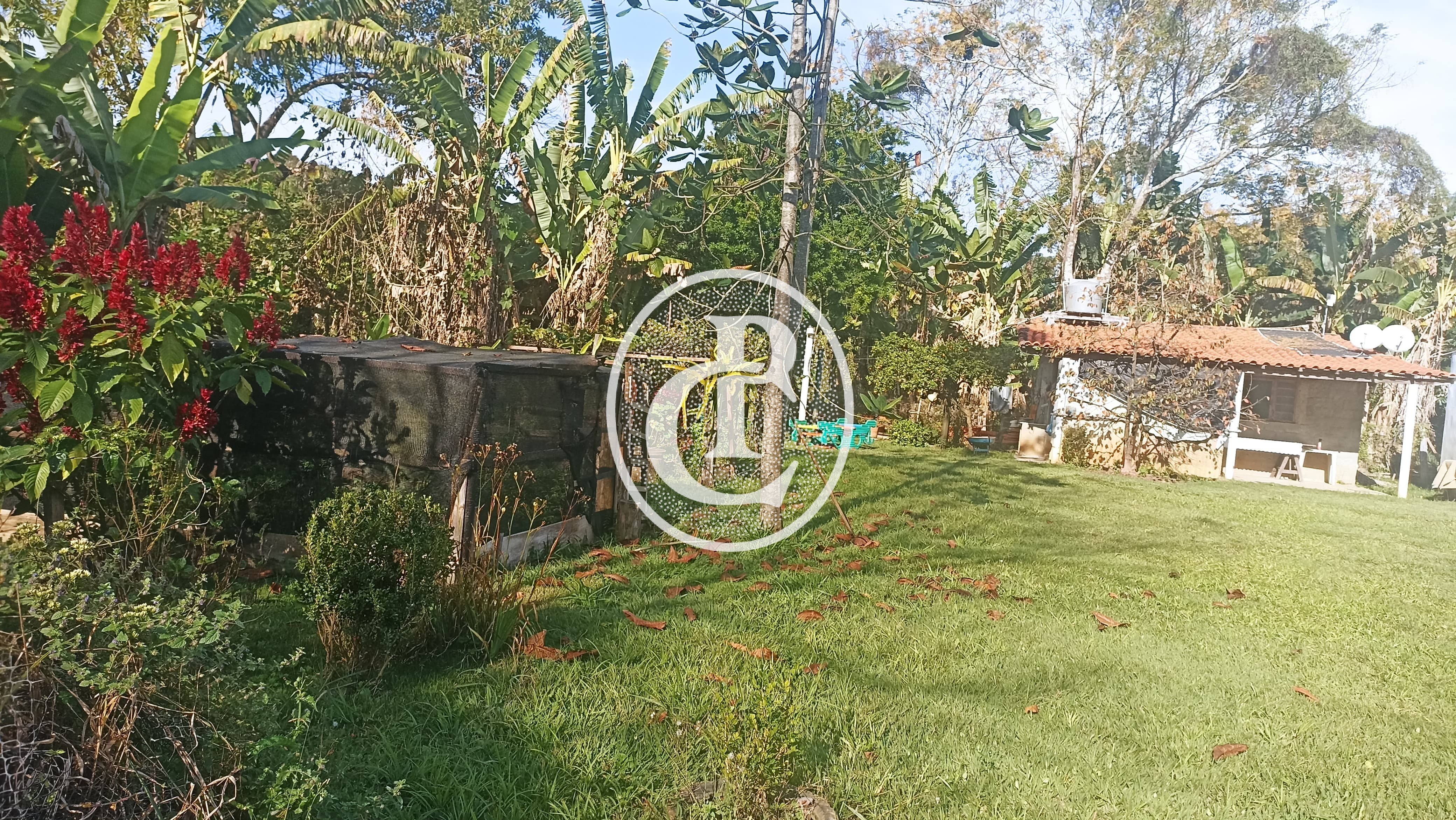 Sítio, 3 quartos, 1600 m² - Foto 10