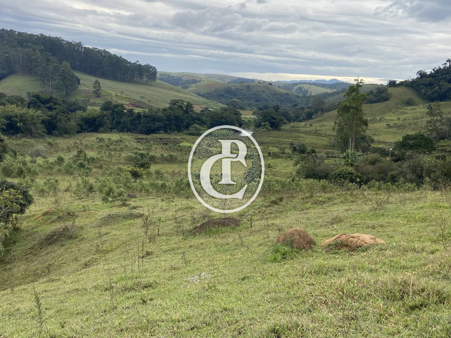 Fazenda, 80 hectares - Foto 2