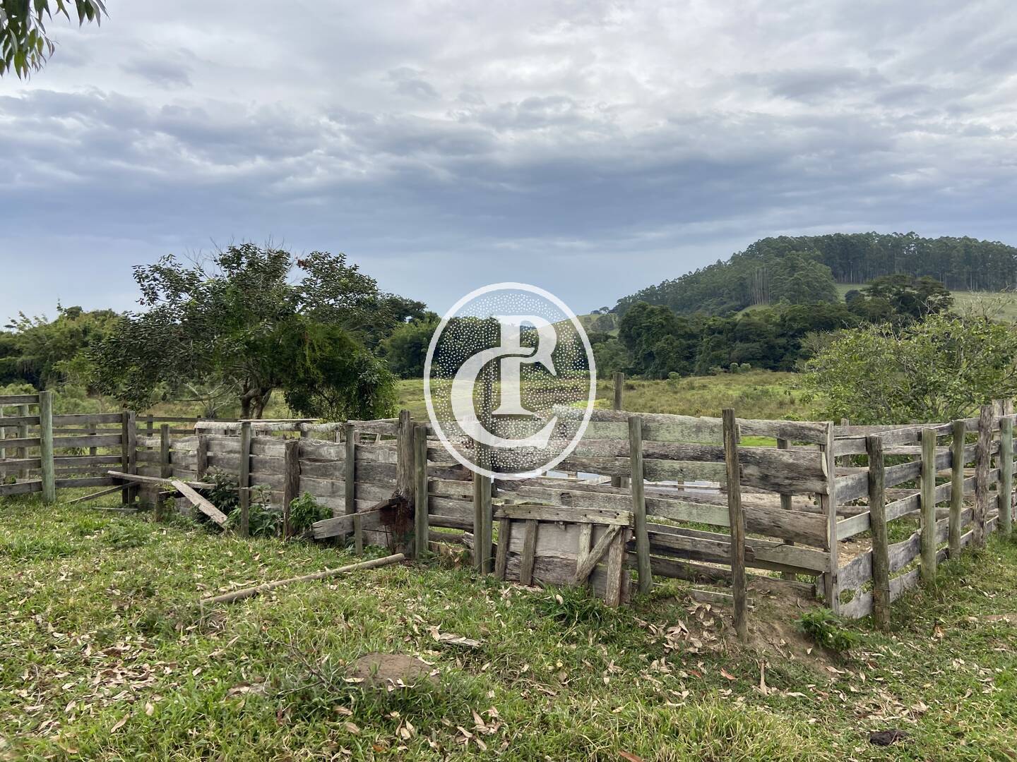 Fazenda, 80 hectares - Foto 3