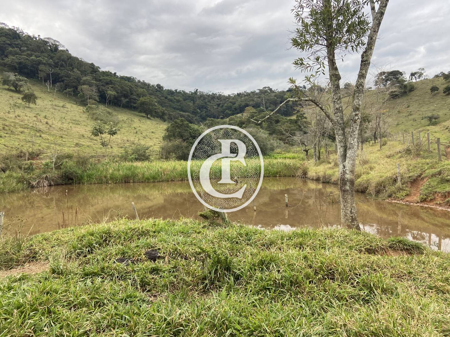 Fazenda, 80 hectares - Foto 4