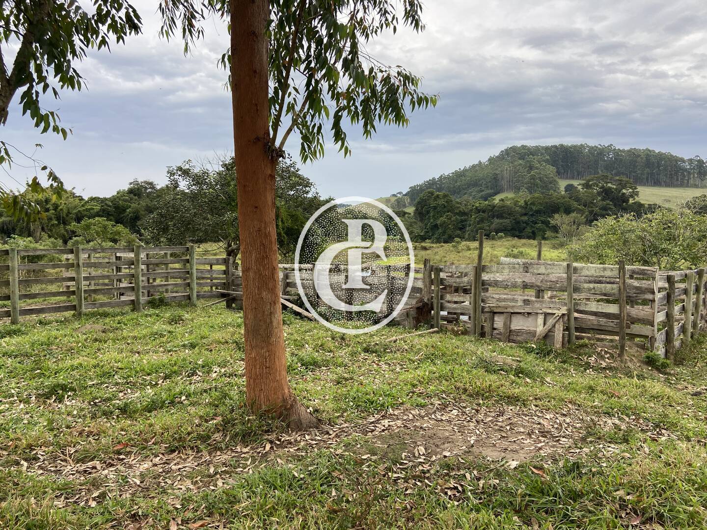 Fazenda, 80 hectares - Foto 7