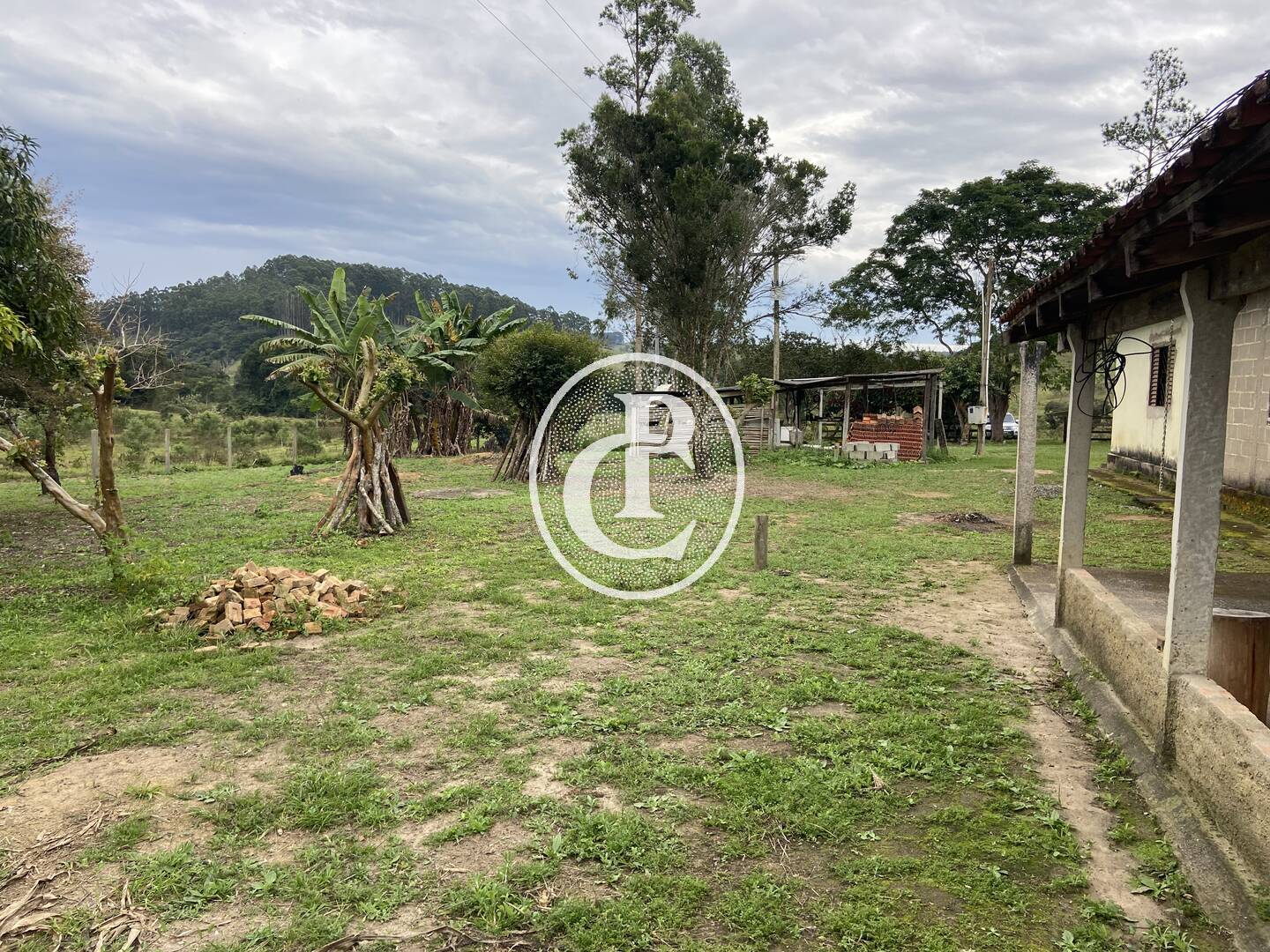 Fazenda, 80 hectares - Foto 8
