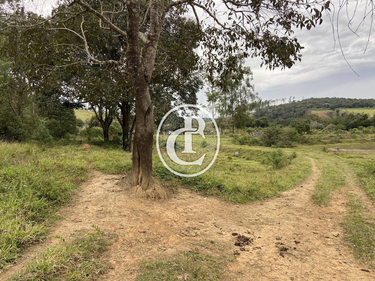 Fazenda, 80 hectares - Foto 9