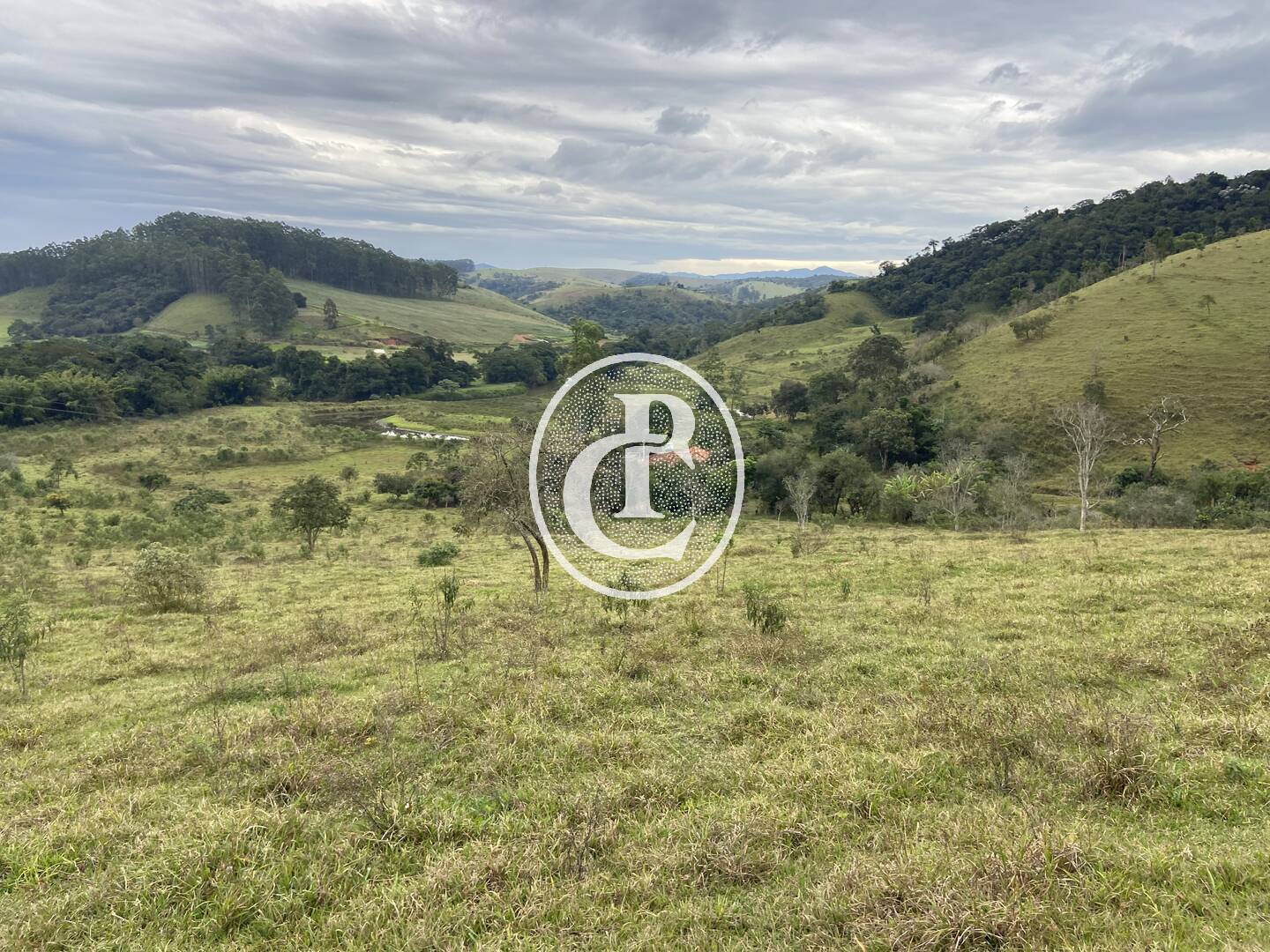 Fazenda, 80 hectares - Foto 10
