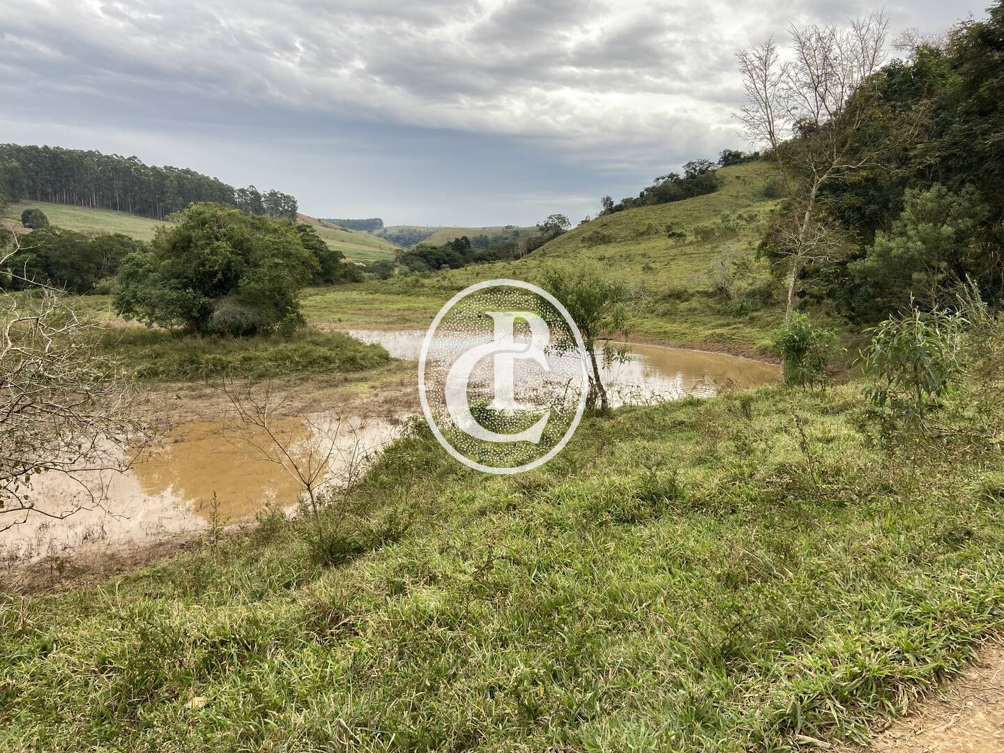 Fazenda, 80 hectares - Foto 11