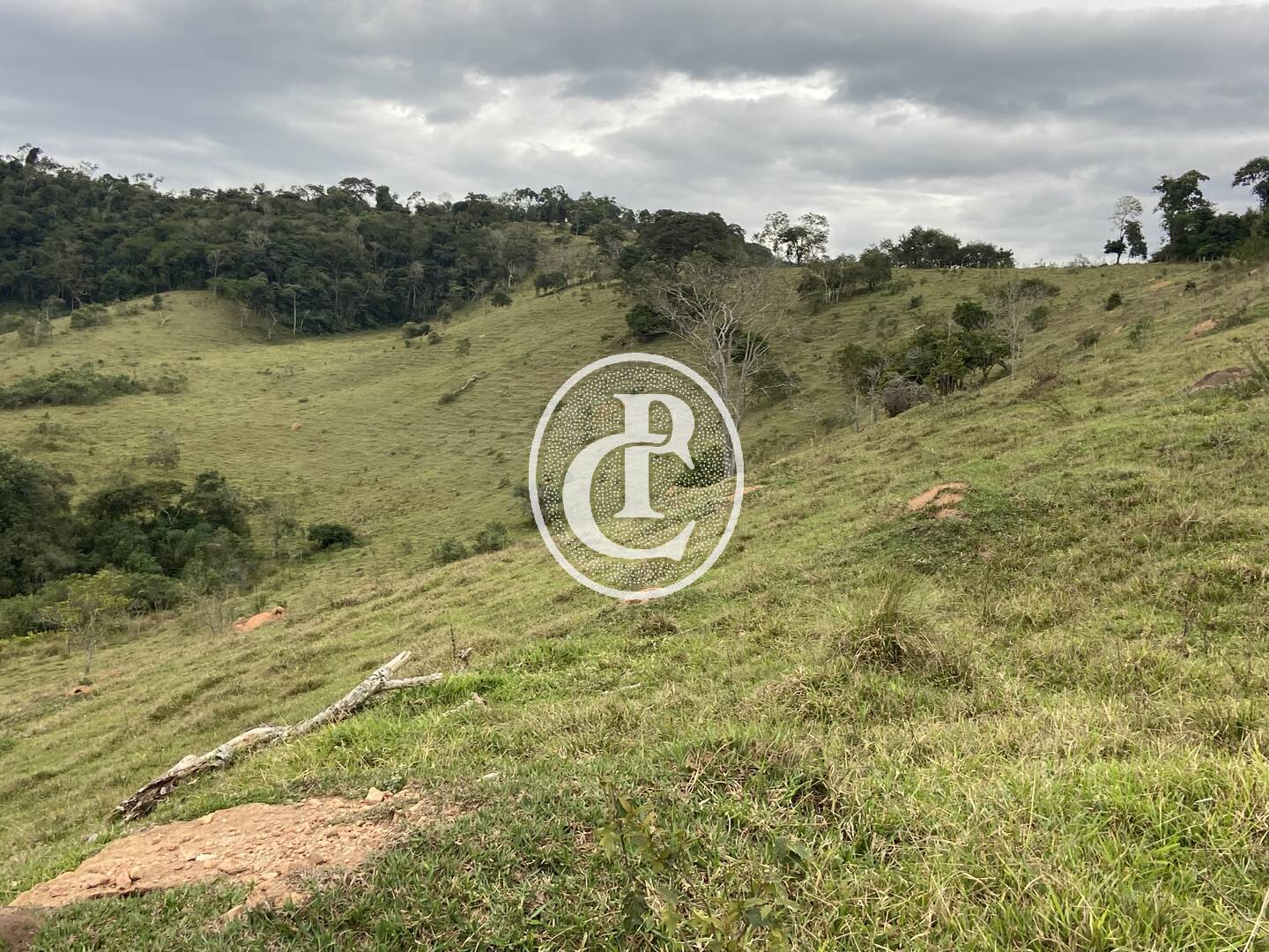 Fazenda, 80 hectares - Foto 12