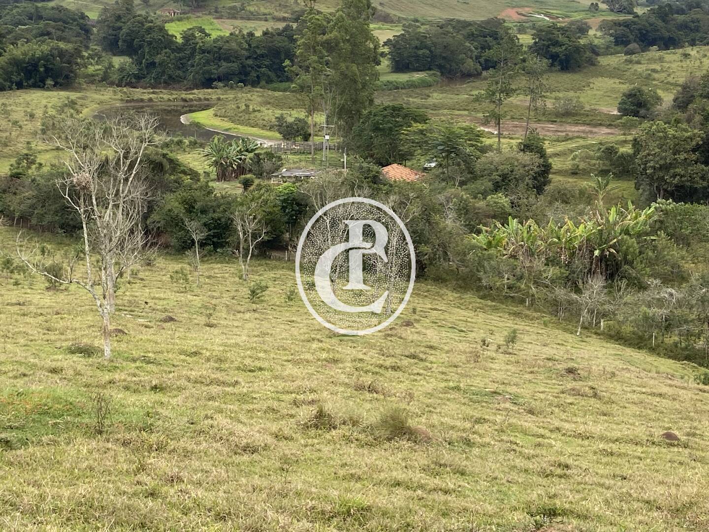 Fazenda, 80 hectares - Foto 13