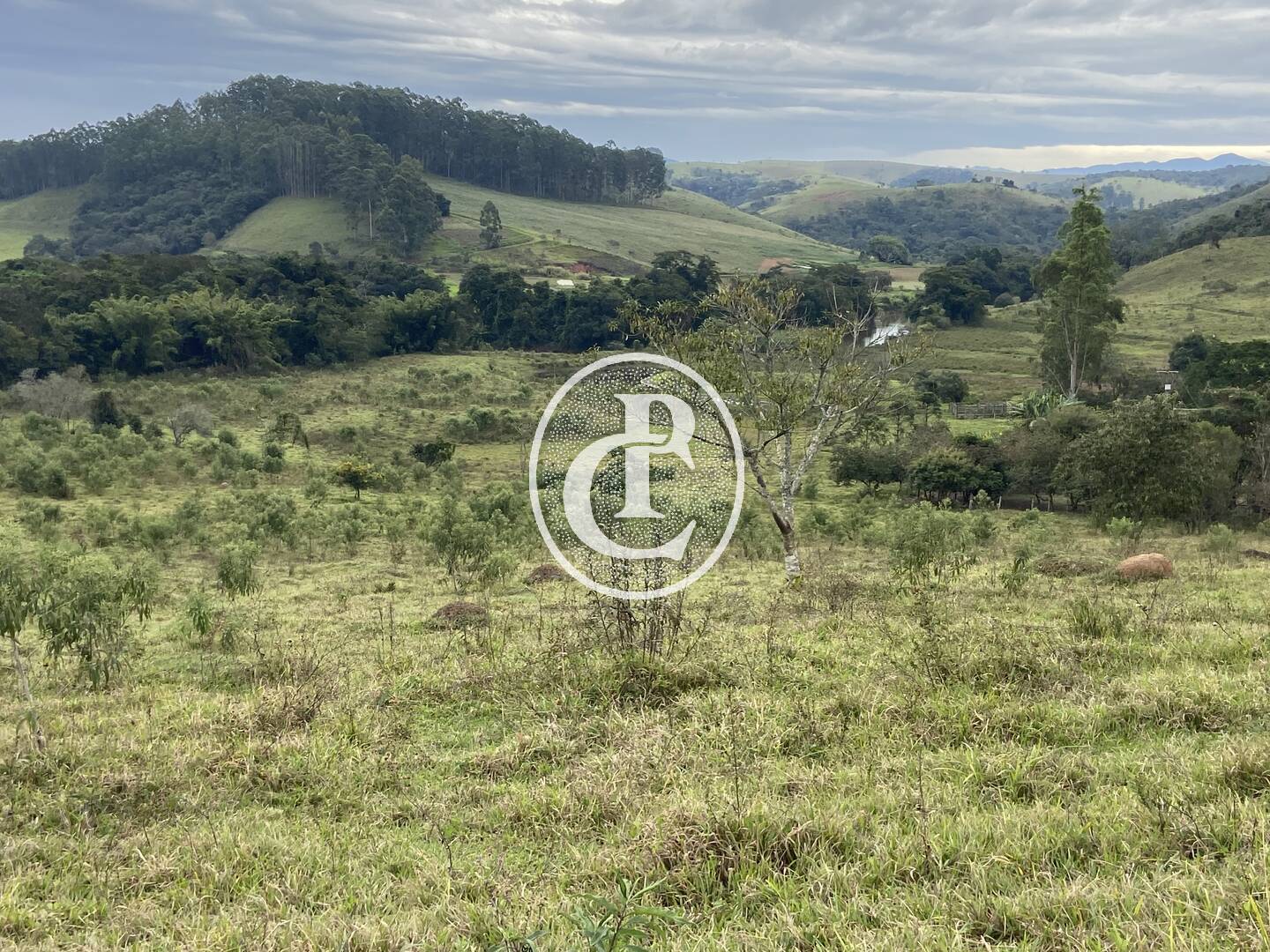 Fazenda, 80 hectares - Foto 14