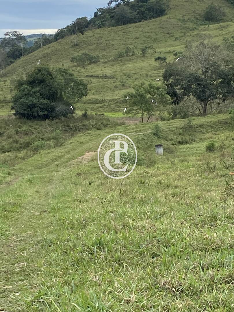 Fazenda, 80 hectares - Foto 15