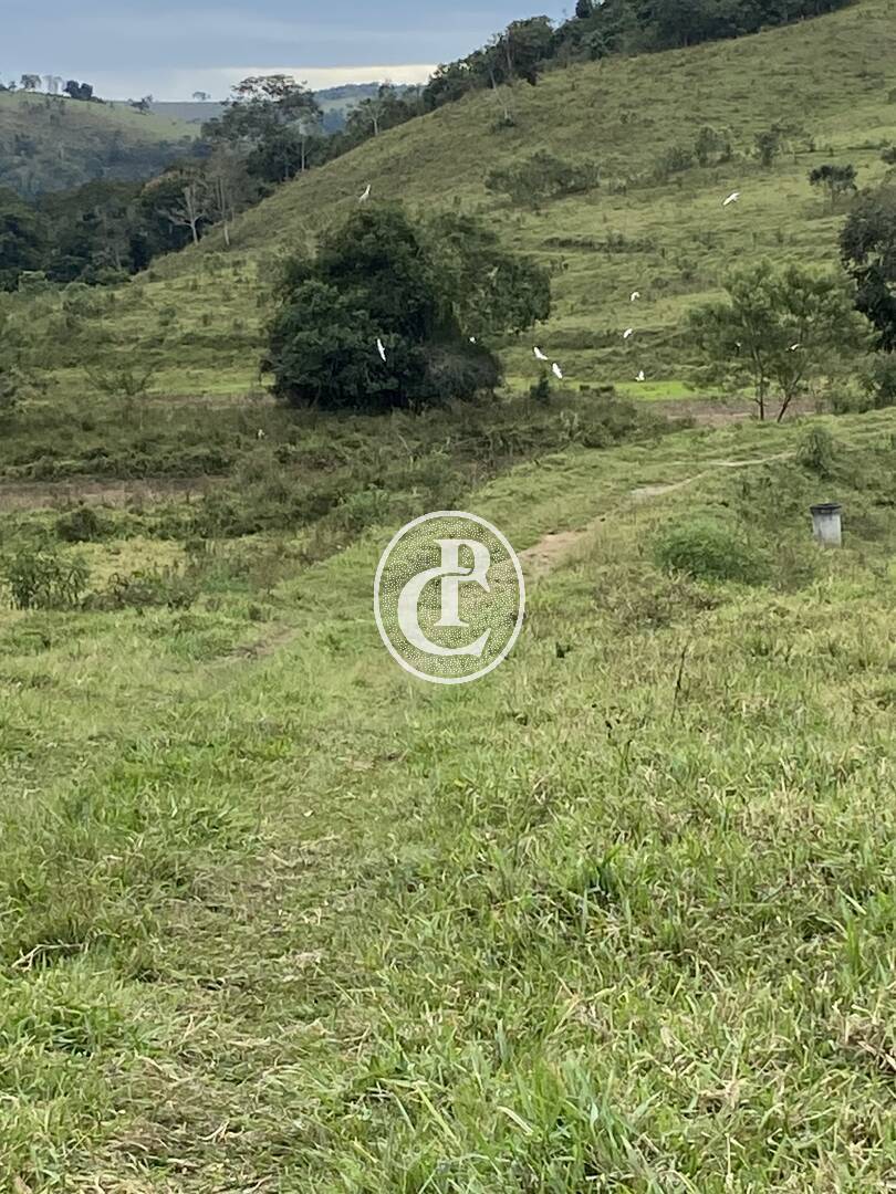 Fazenda, 80 hectares - Foto 17