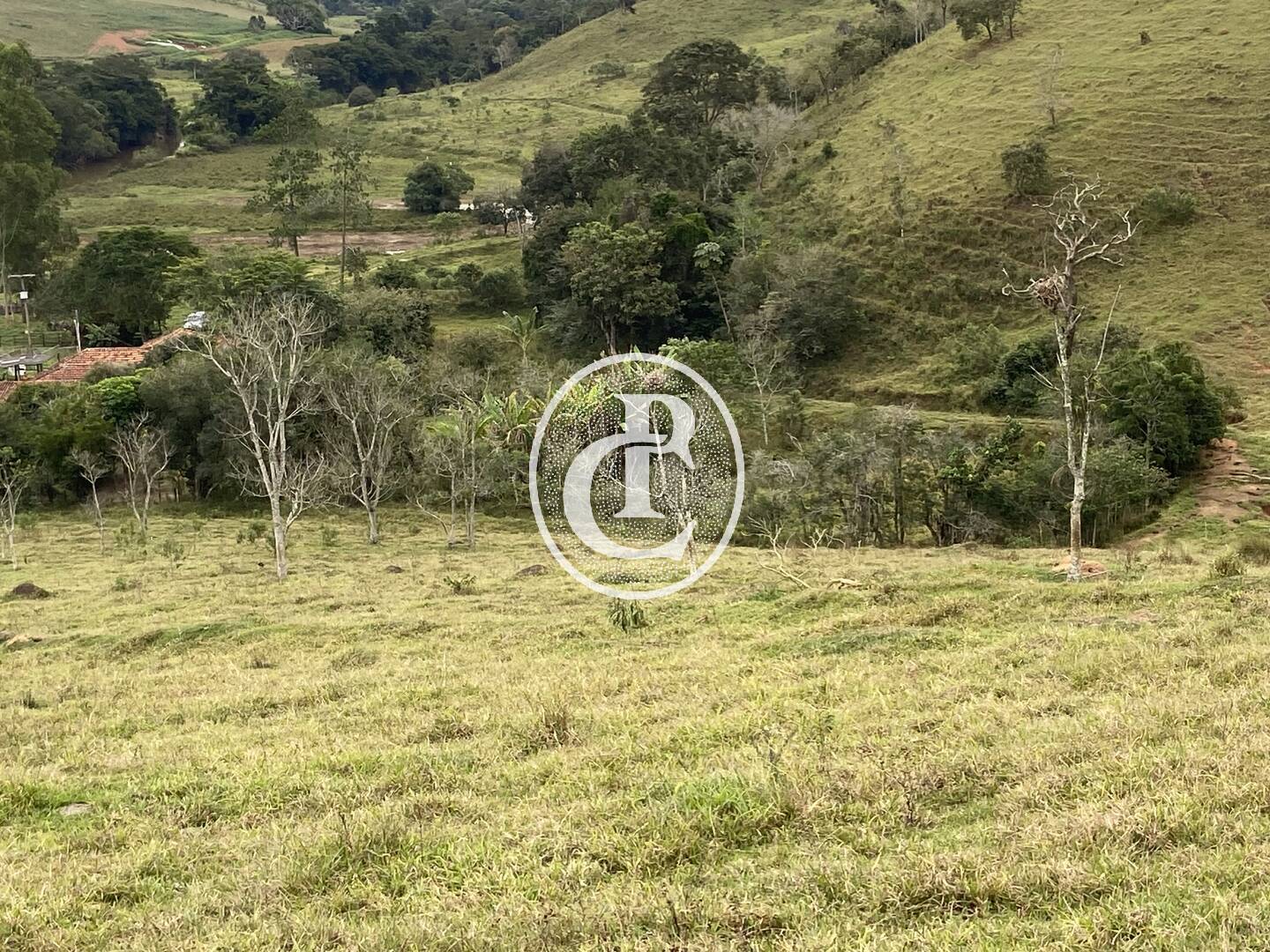 Fazenda, 80 hectares - Foto 19