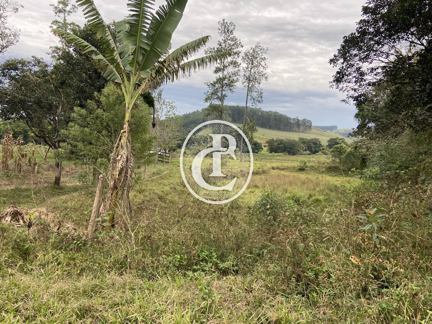 Fazenda, 80 hectares - Foto 20