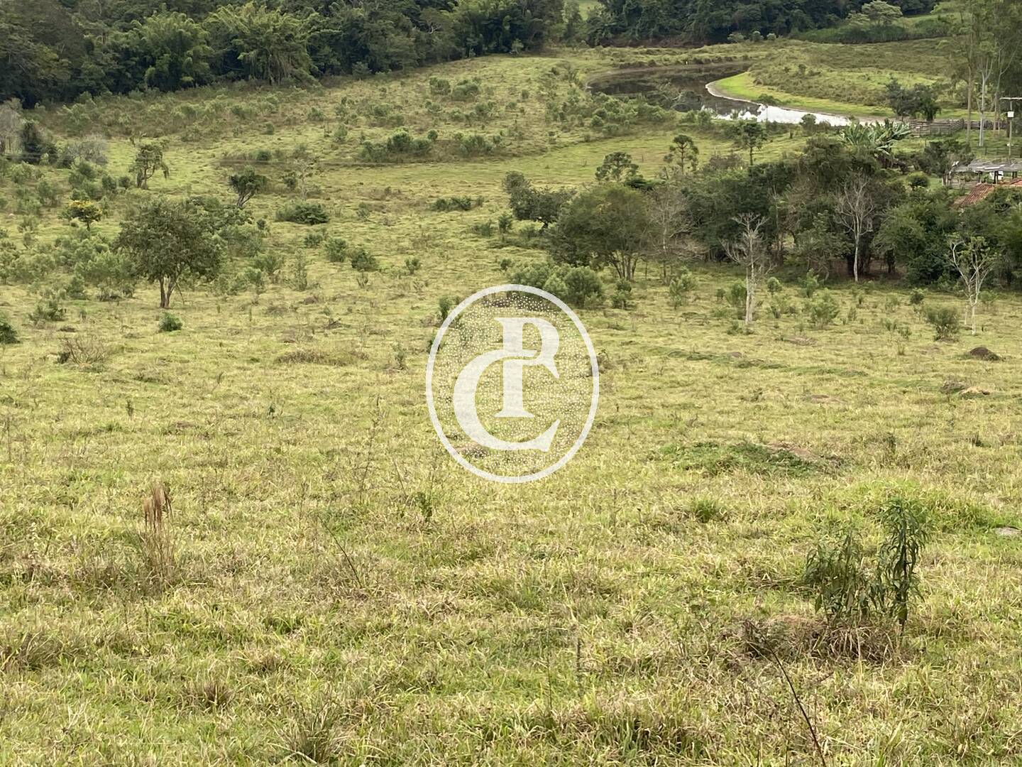 Fazenda, 80 hectares - Foto 21