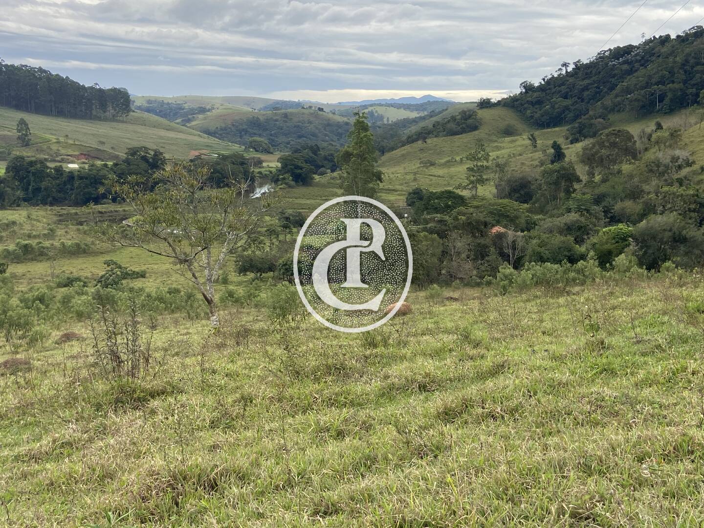 Fazenda, 80 hectares - Foto 23