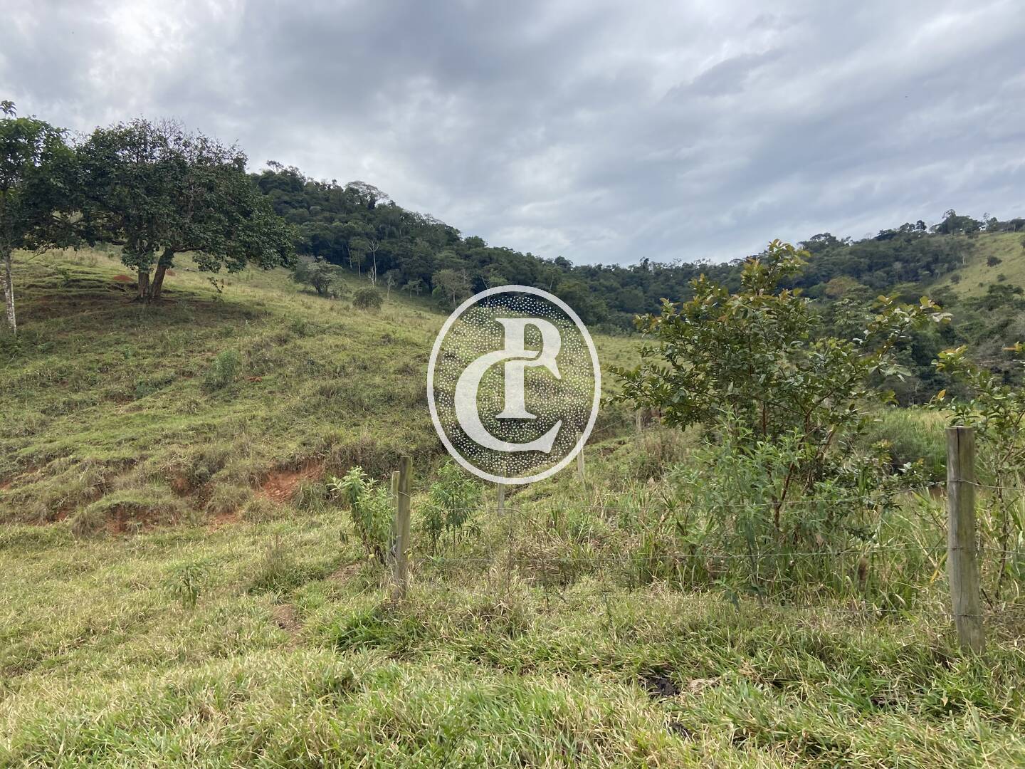 Fazenda, 80 hectares - Foto 26