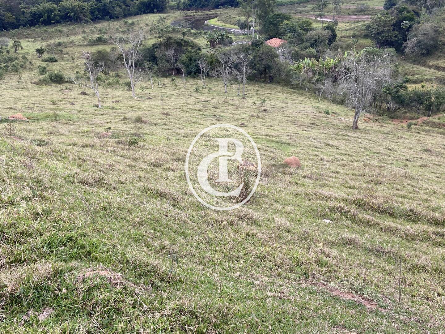 Fazenda, 80 hectares - Foto 27