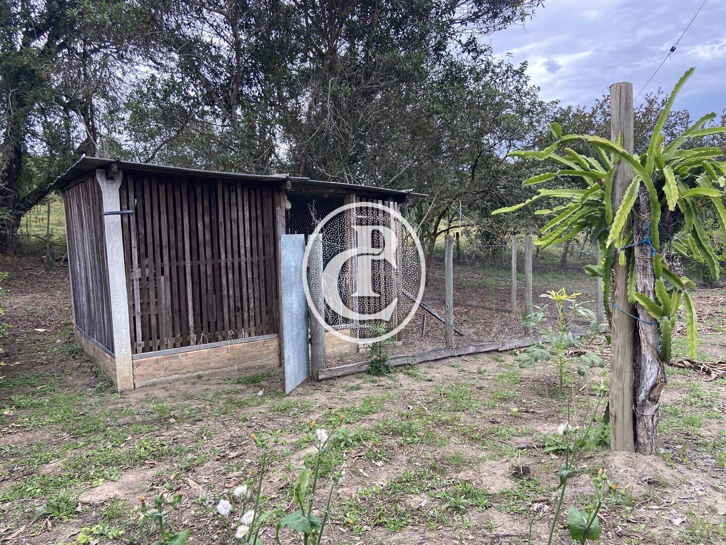 Fazenda, 80 hectares - Foto 28