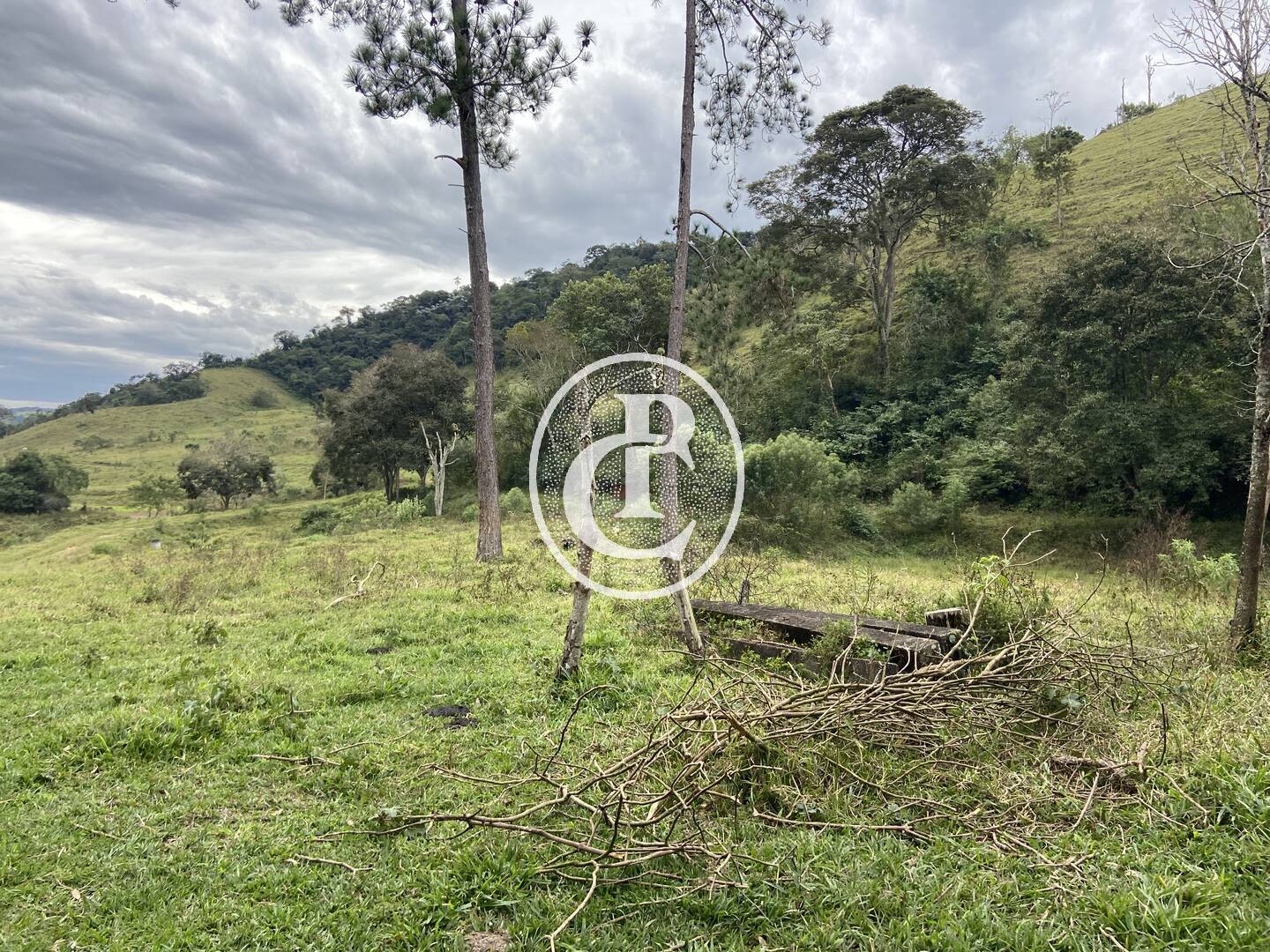 Fazenda, 80 hectares - Foto 30