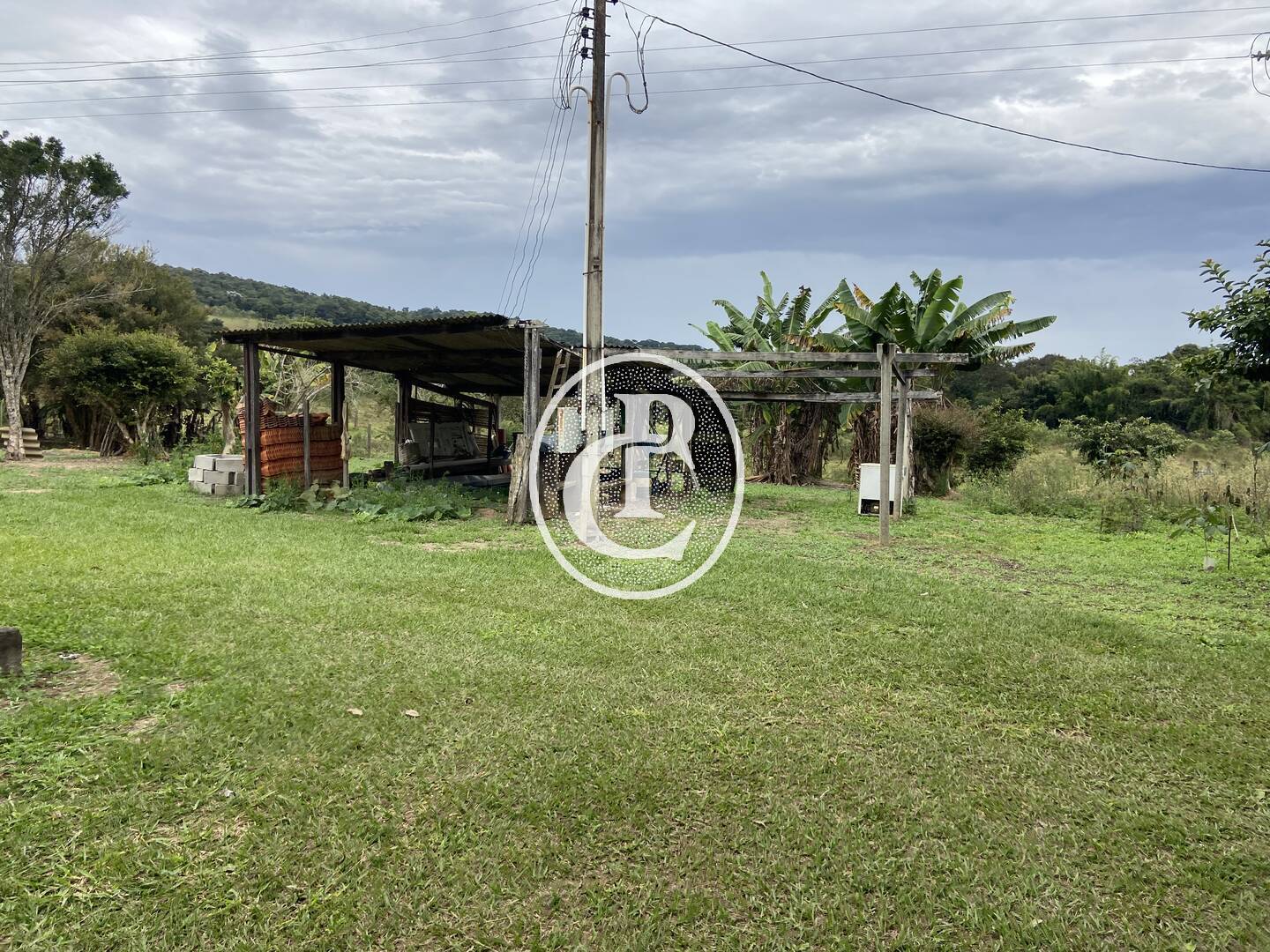Fazenda, 80 hectares - Foto 31