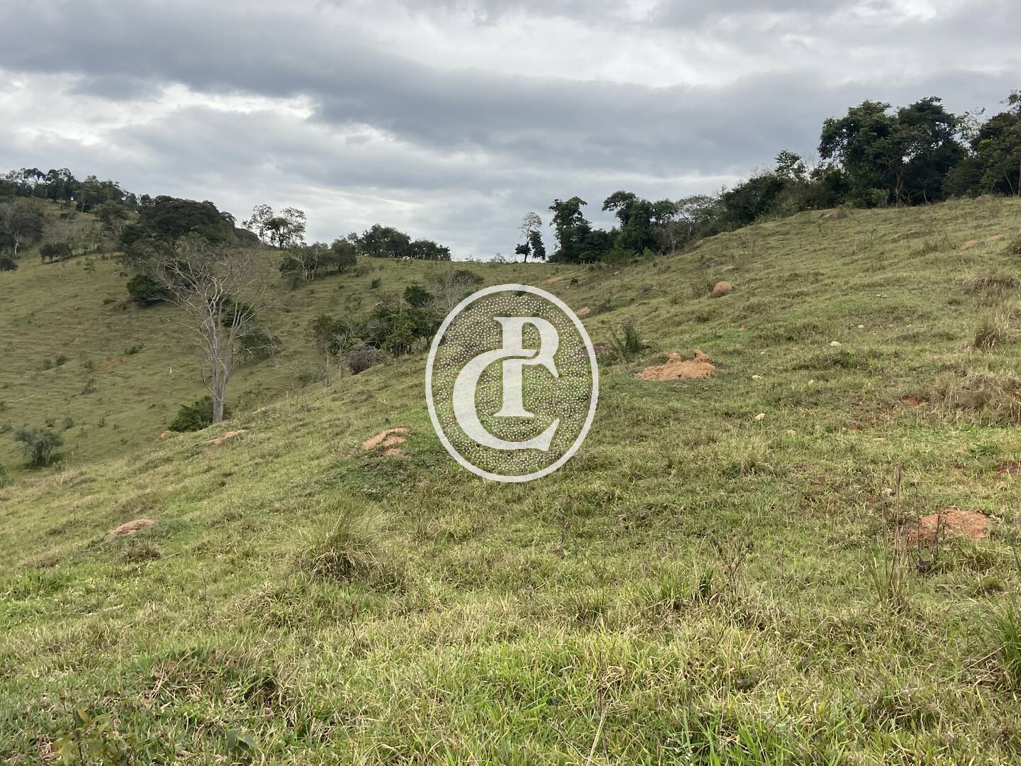 Fazenda, 80 hectares - Foto 34