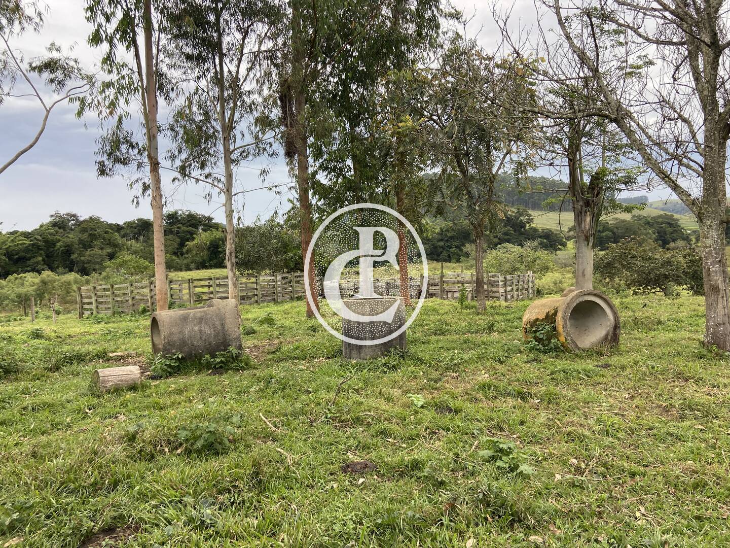 Fazenda, 80 hectares - Foto 35