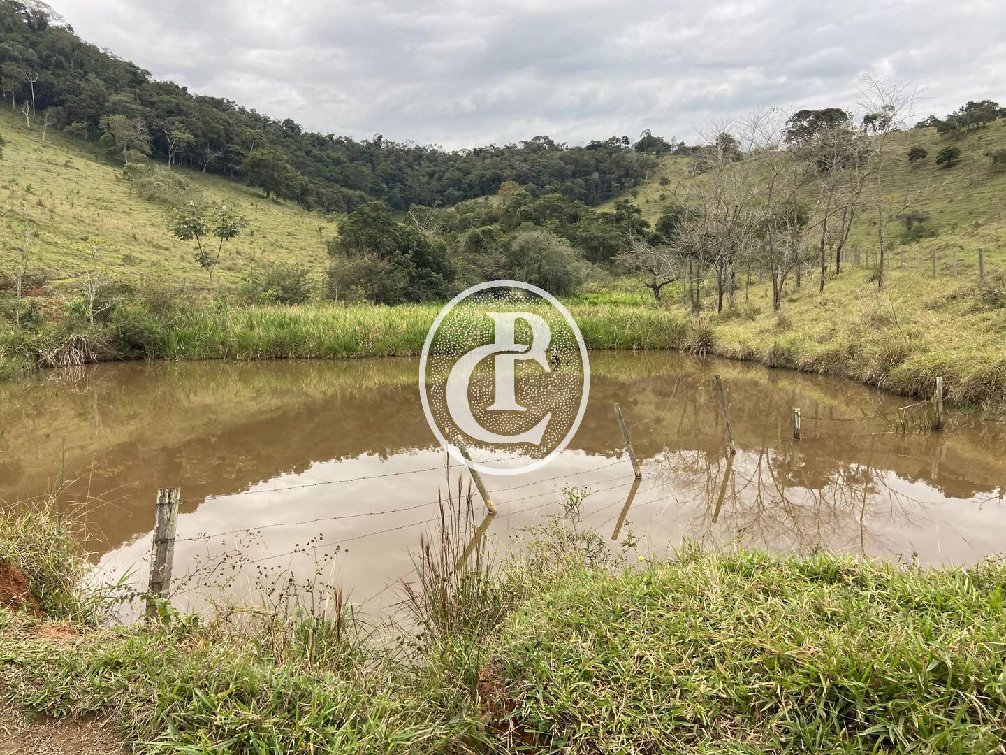 Fazenda, 80 hectares - Foto 36