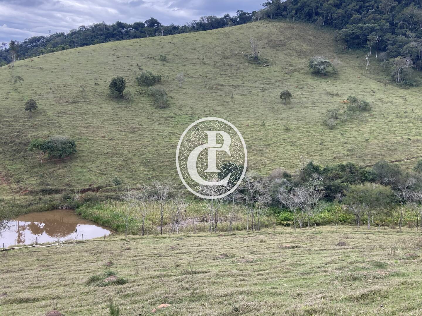 Fazenda, 80 hectares - Foto 37