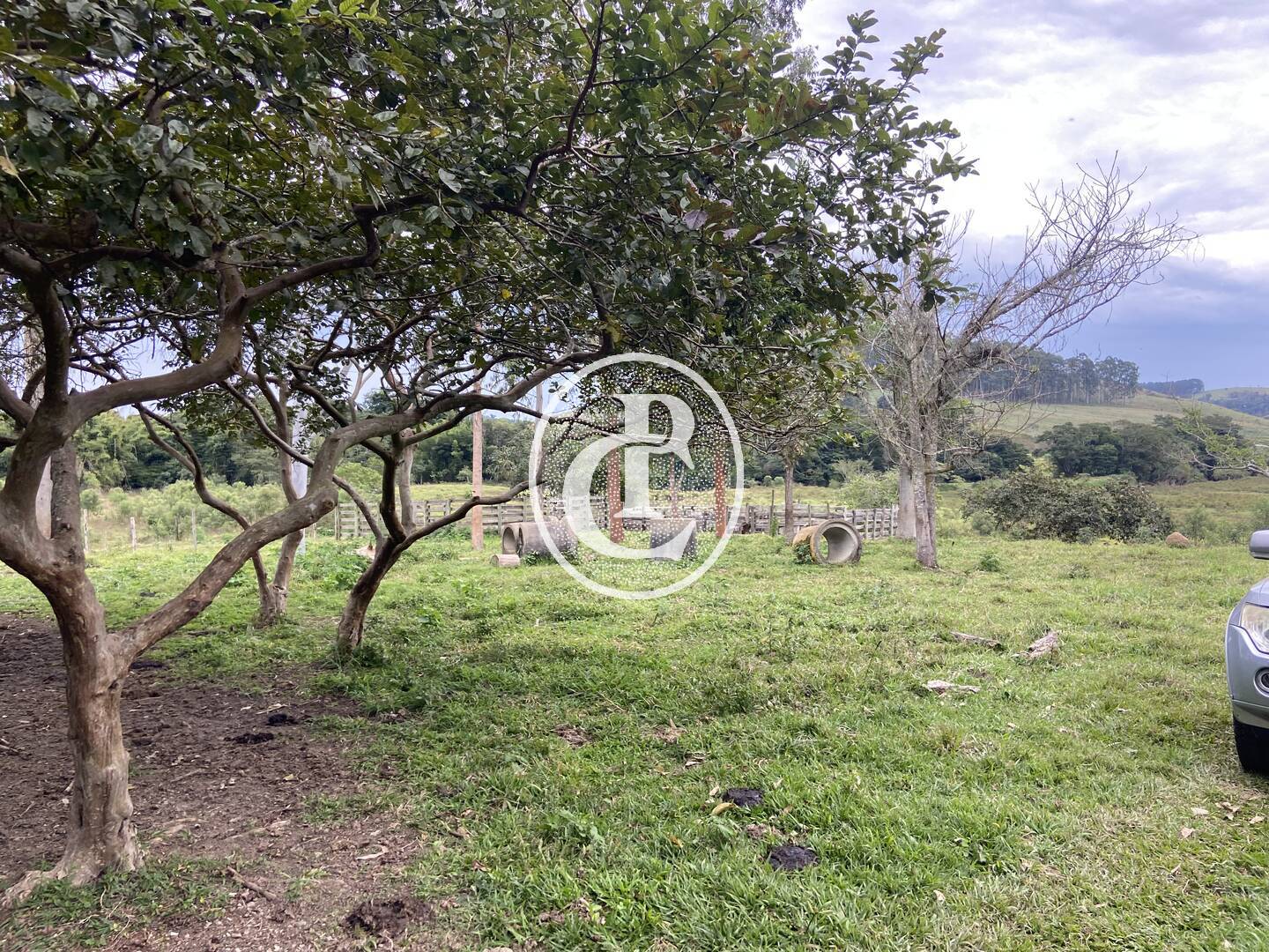 Fazenda, 80 hectares - Foto 38