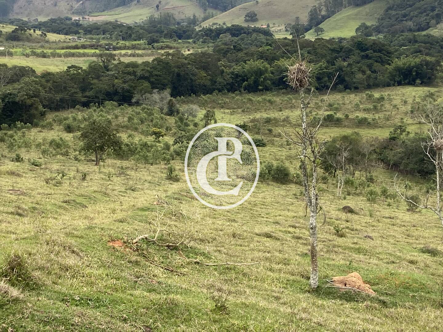 Fazenda, 80 hectares - Foto 39