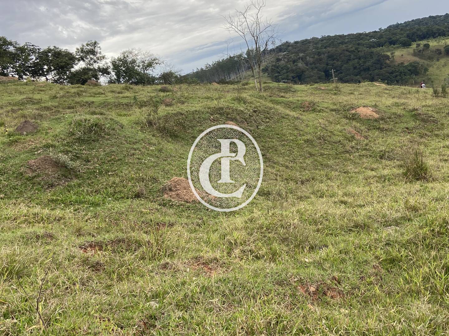 Fazenda, 80 hectares - Foto 40