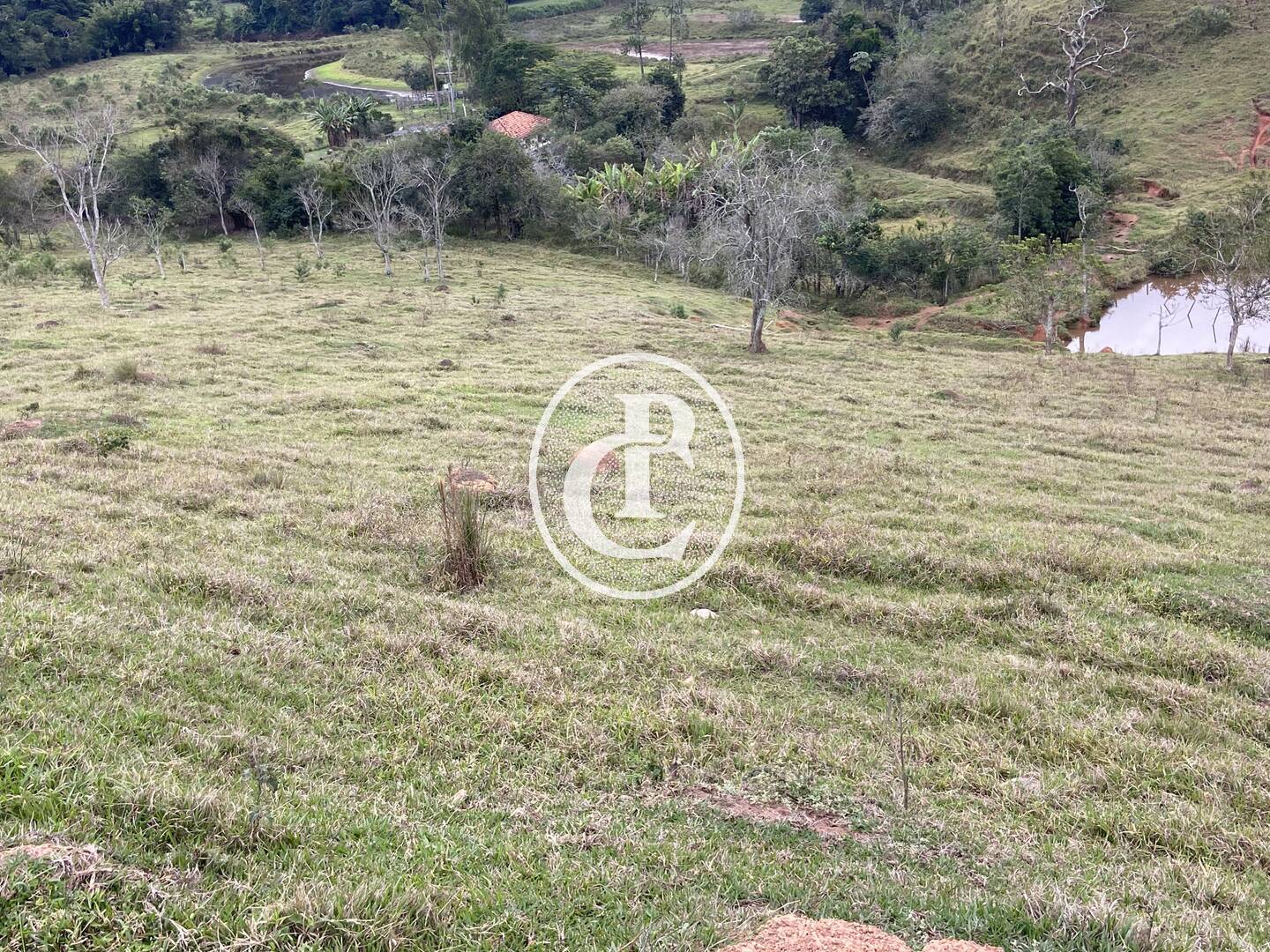 Fazenda, 80 hectares - Foto 41