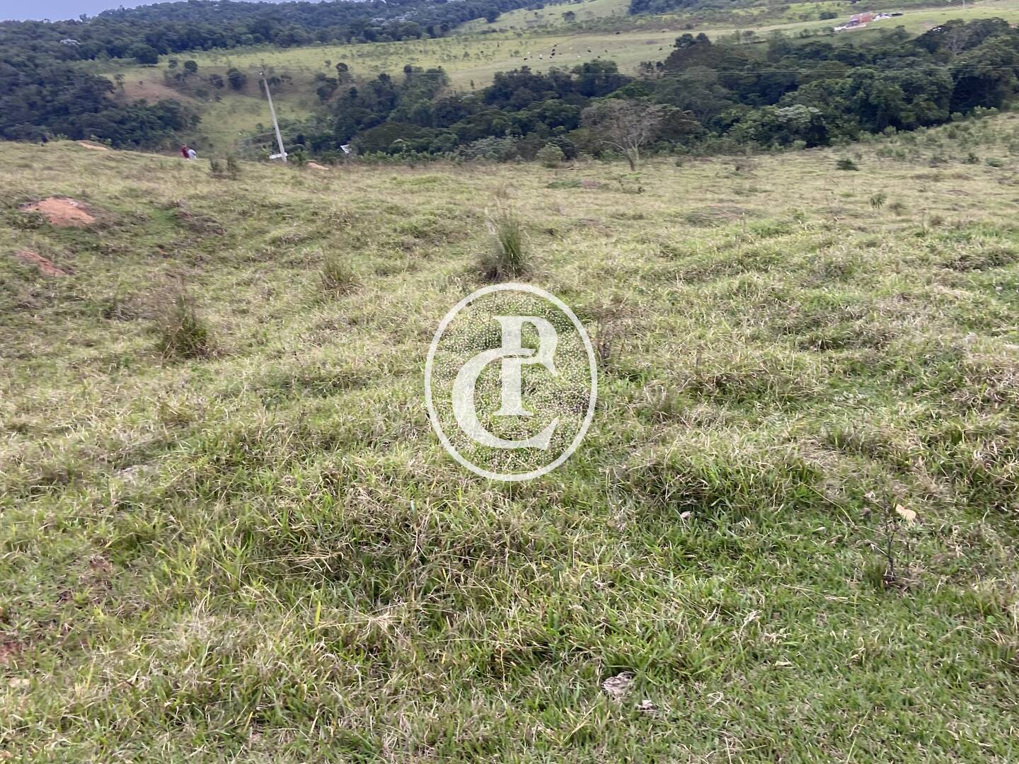 Fazenda, 80 hectares - Foto 42