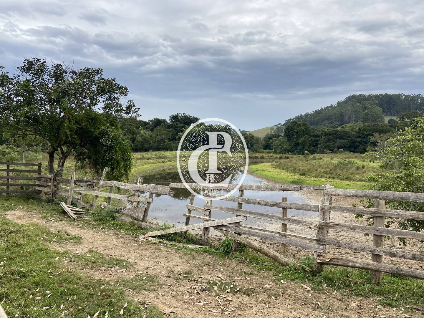 Fazenda, 80 hectares - Foto 43