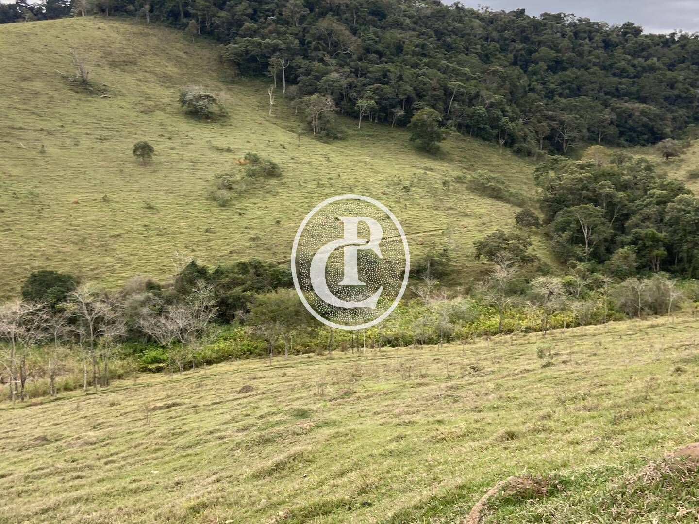 Fazenda, 80 hectares - Foto 44