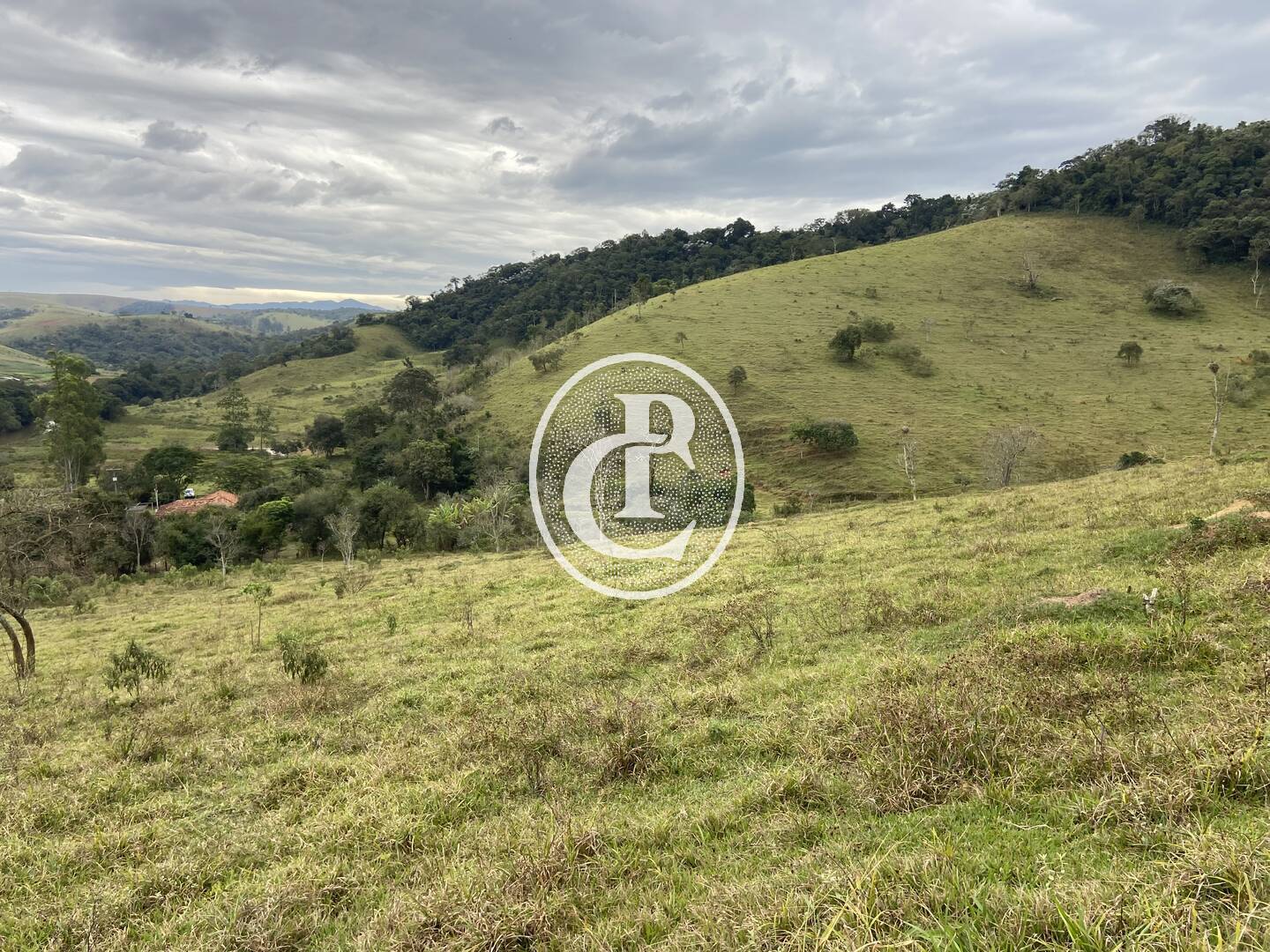 Fazenda, 80 hectares - Foto 45