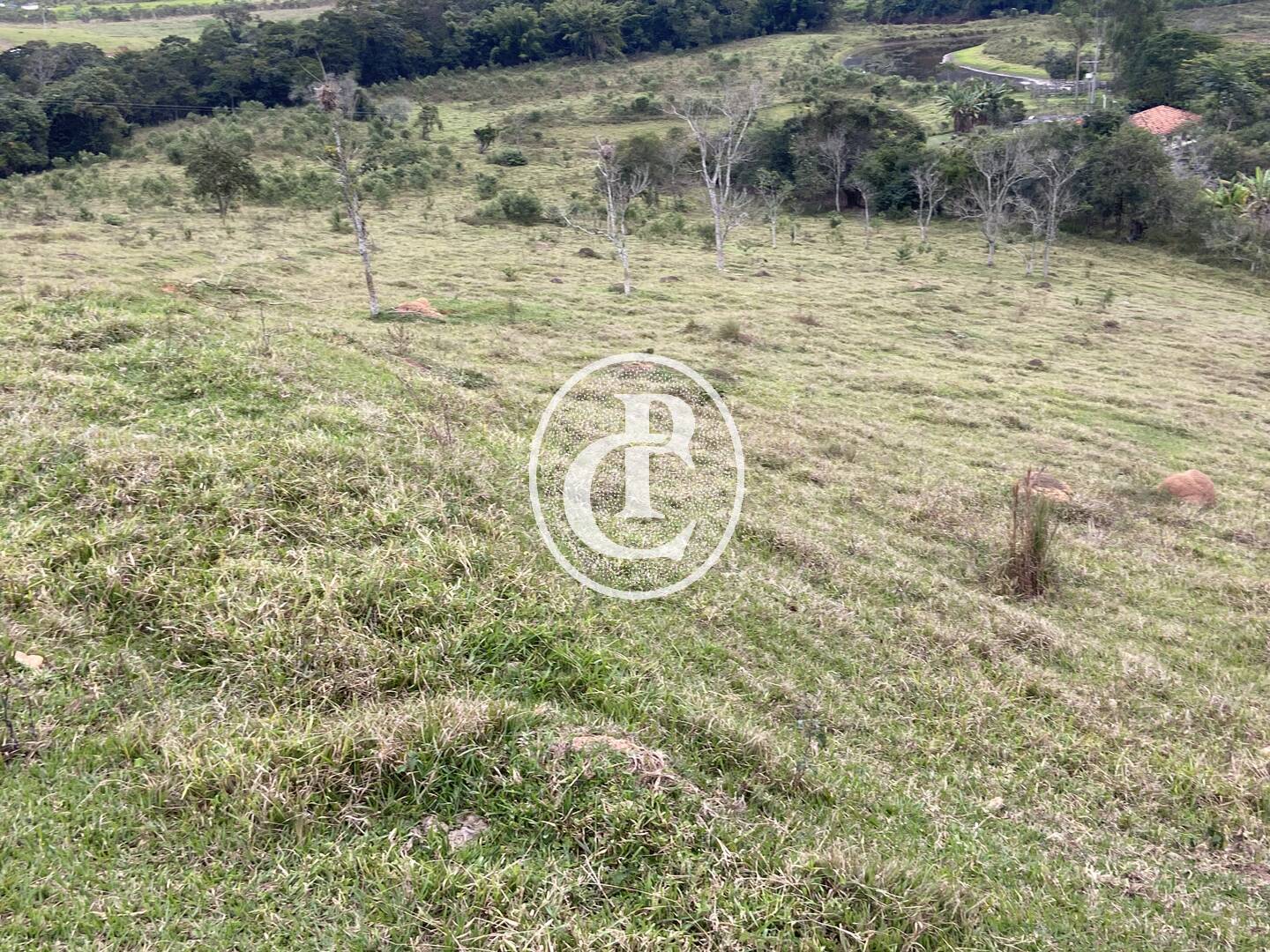 Fazenda, 80 hectares - Foto 46