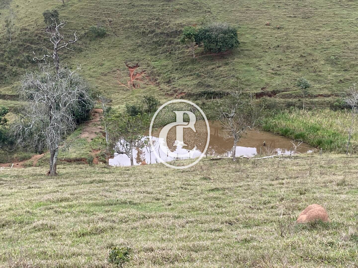 Fazenda, 80 hectares - Foto 47