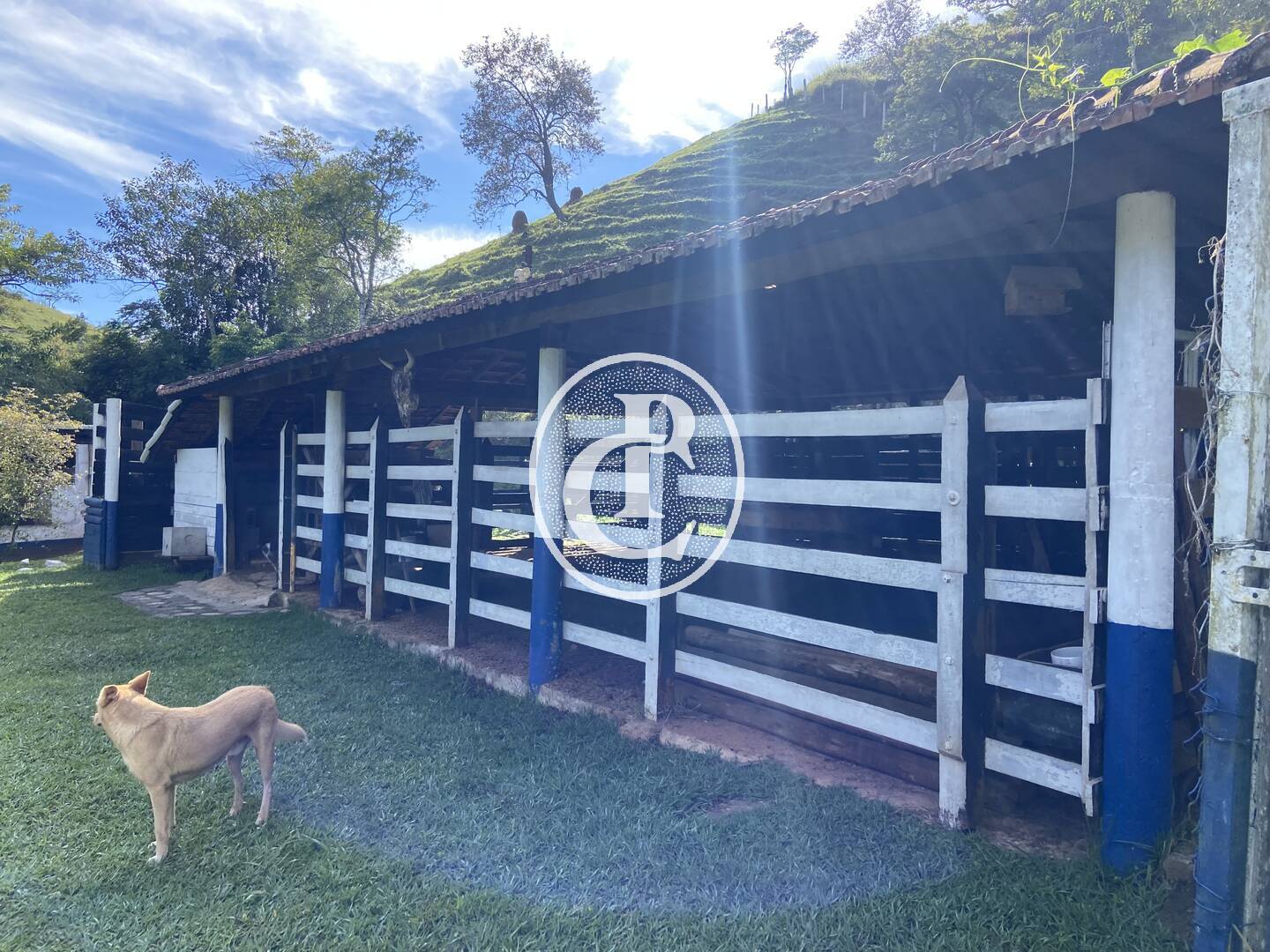 Sítio, 2 quartos, 5 hectares - Foto 15