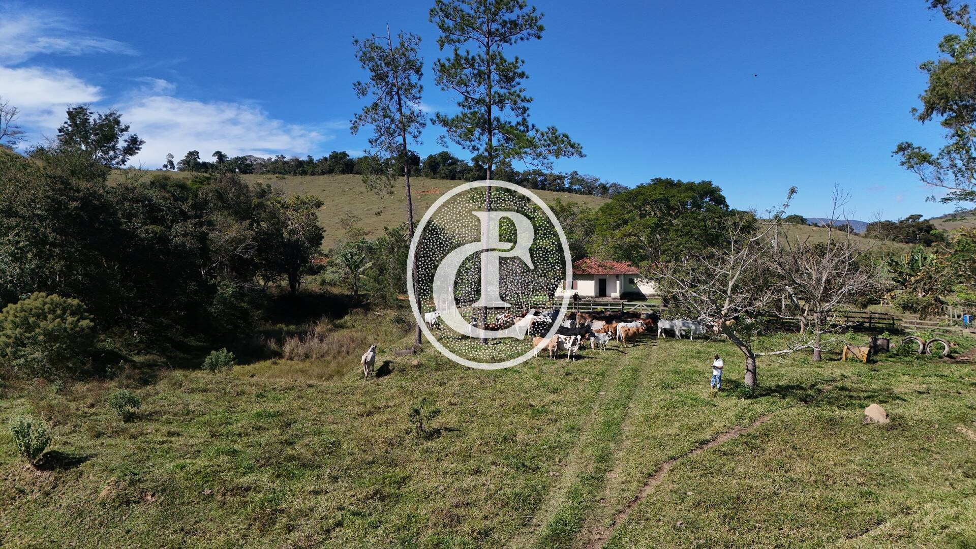 Fazenda, 8 hectares - Foto 16