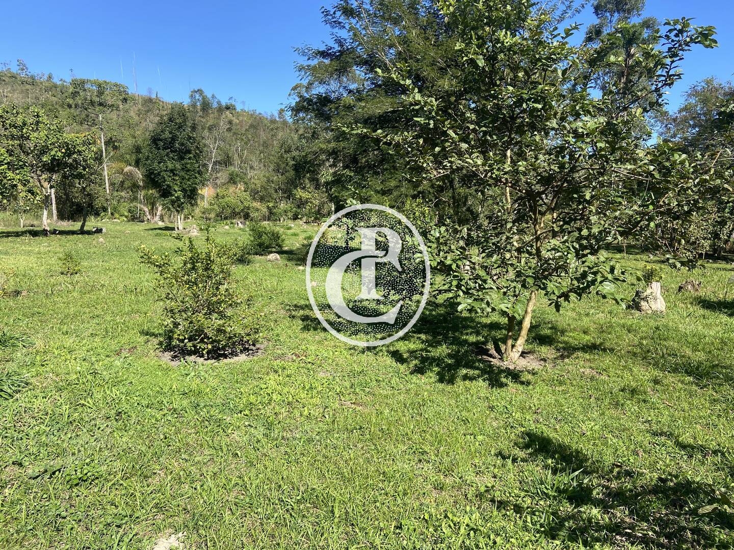 Chácara, 2 quartos, 2 hectares - Foto 1