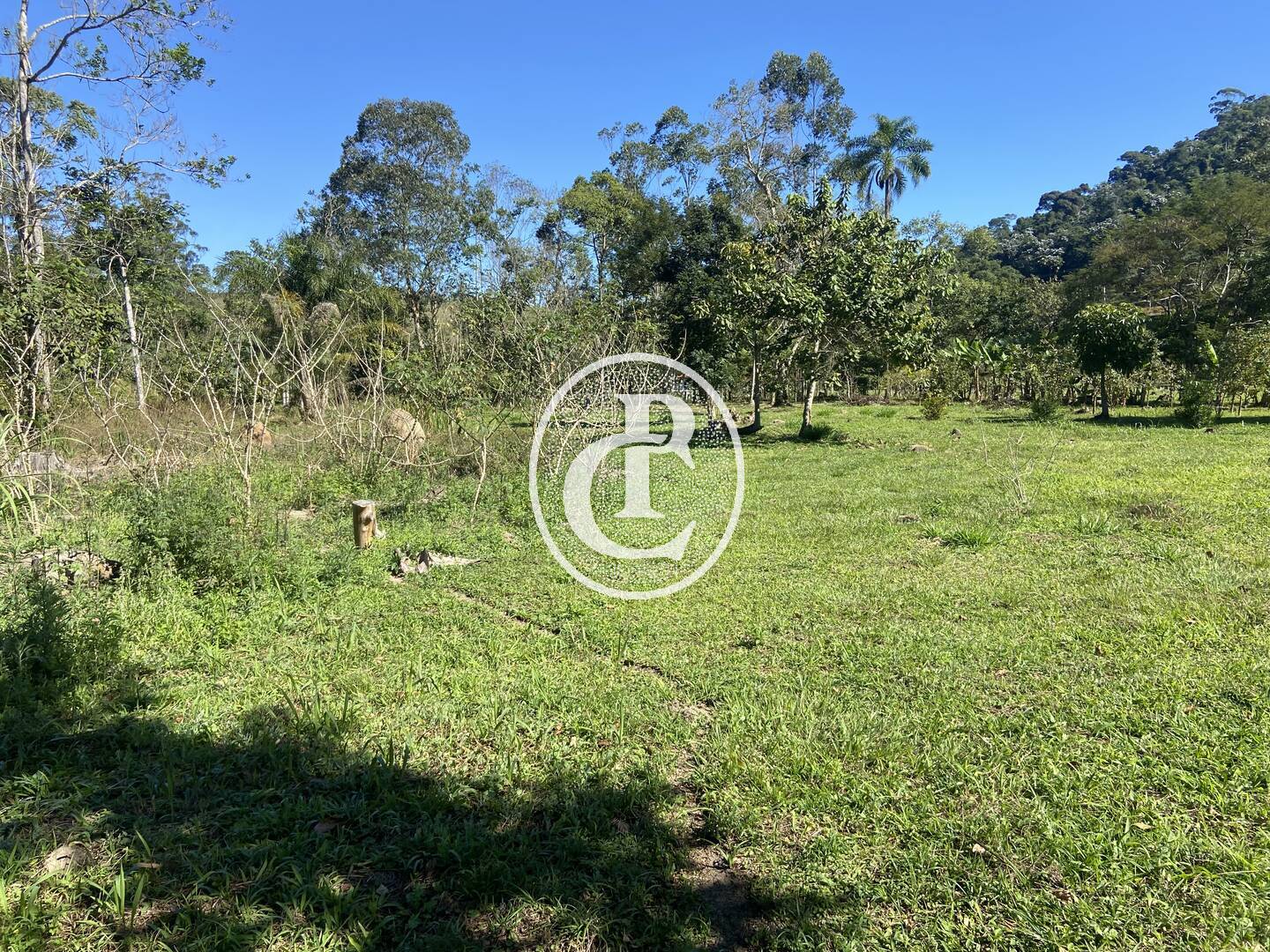 Chácara, 2 quartos, 2 hectares - Foto 6