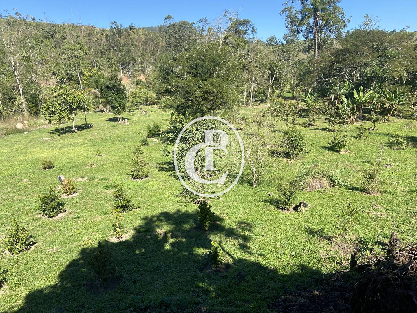 Chácara, 2 quartos, 2 hectares - Foto 7