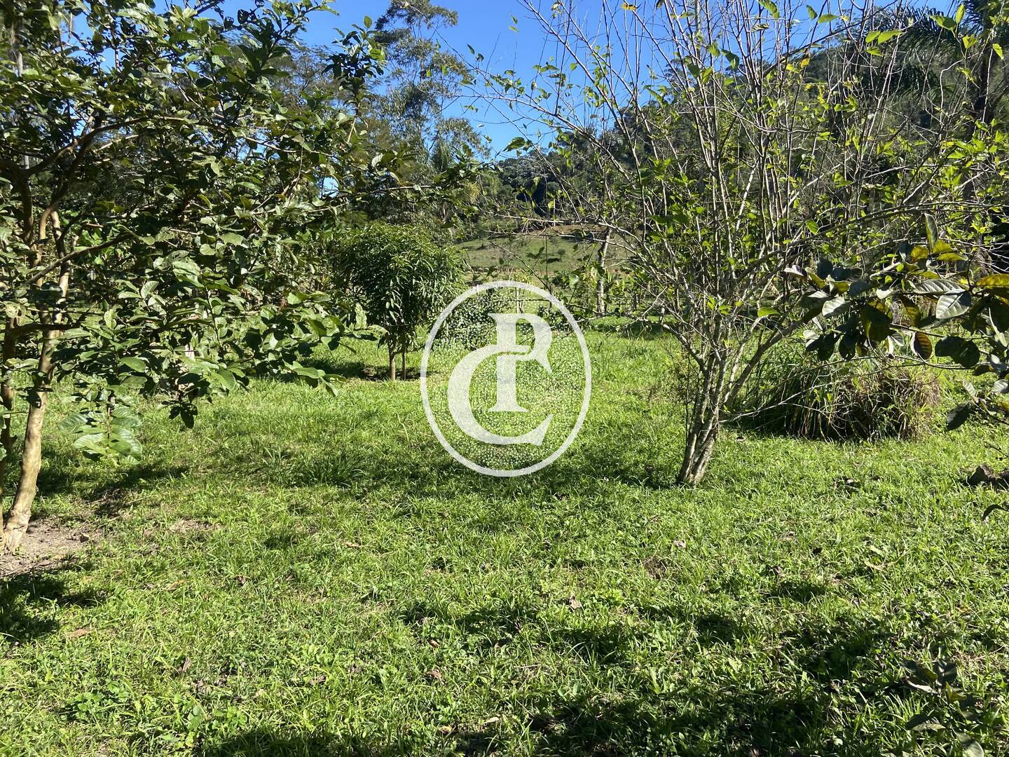 Chácara, 2 quartos, 2 hectares - Foto 11