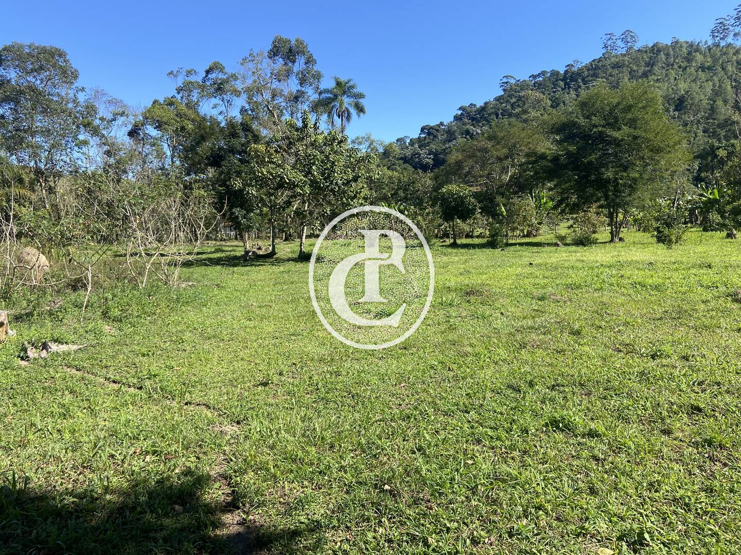 Chácara, 2 quartos, 2 hectares - Foto 12